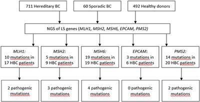 Lynch Syndrome Germline Mutations in Breast Cancer: Next Generation Sequencing Case-Control Study of 1,263 Participants